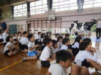 pict-IMG_4229