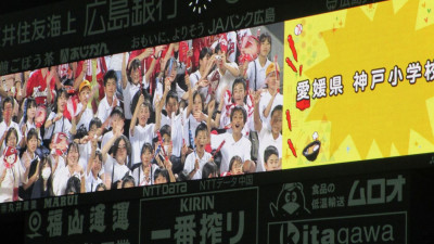 pict-IMG_3501